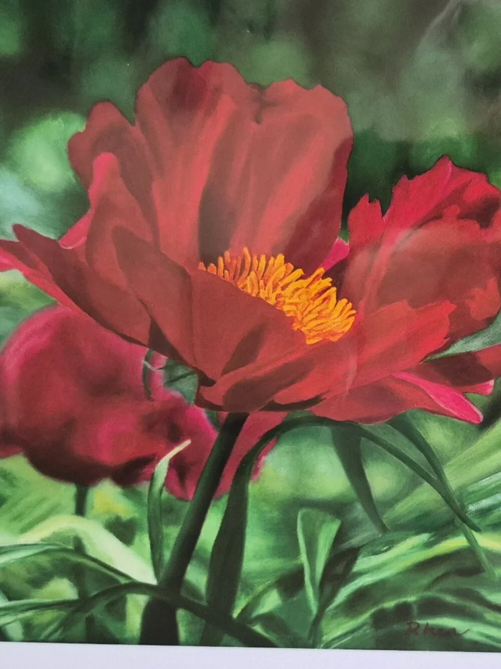 N/A brilliant floral